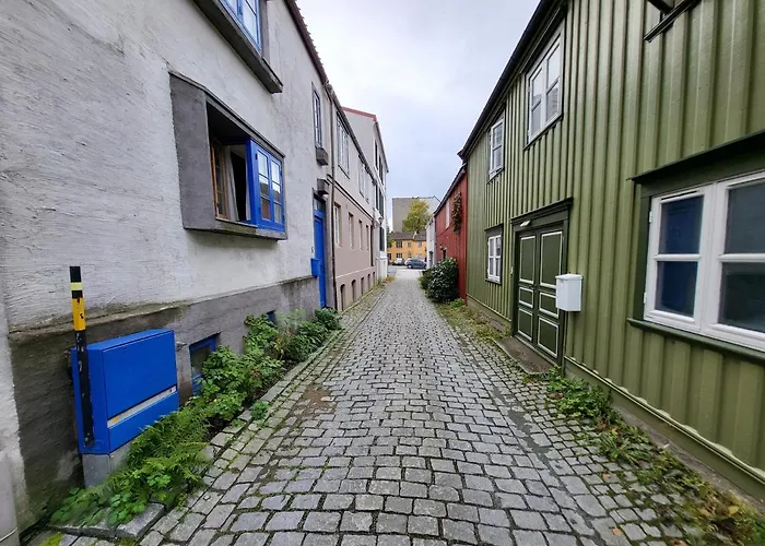 Apartament Mars Modern And Cozy In The Centre, Free Parking Trondheim